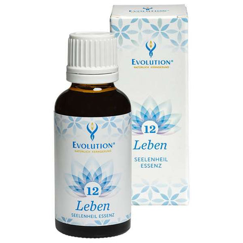 Seelenheil Essenz 12 Leben