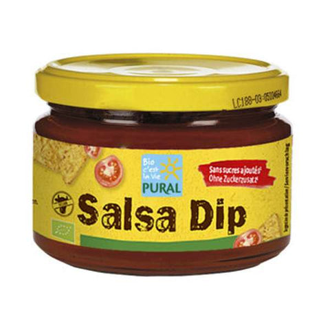 Salsa Dip