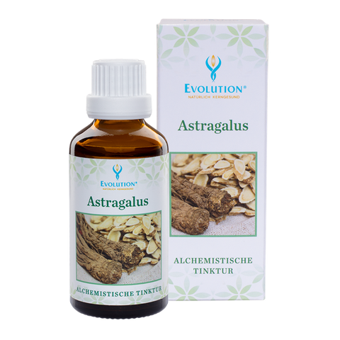 Evolution Astragalus