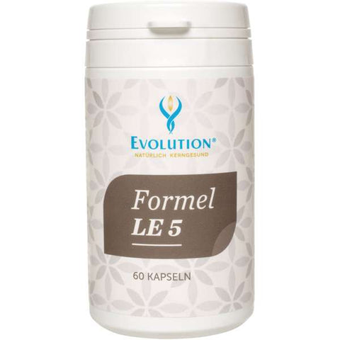 Evolution Formel LE 5