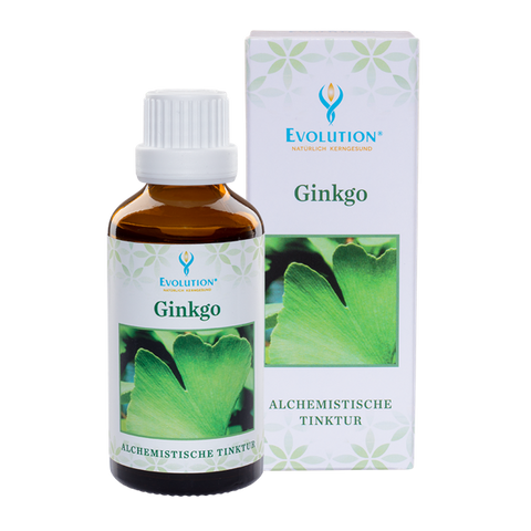 Evolution Ginkgo