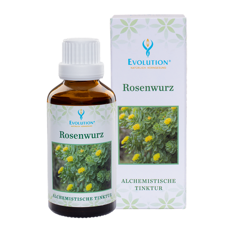 Evolution Rosenwurz