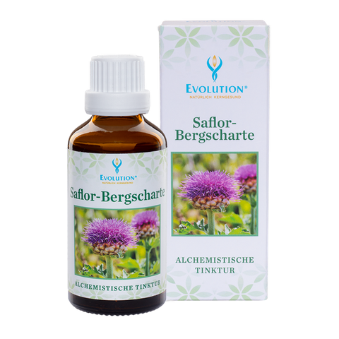 Evolution Saflor-Bergscharte