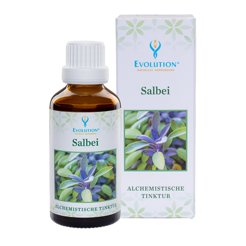 Salbei