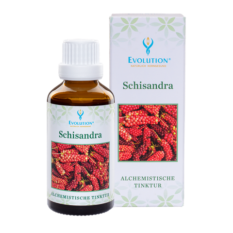 Schisandra