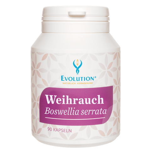 Evolution Weihrauch