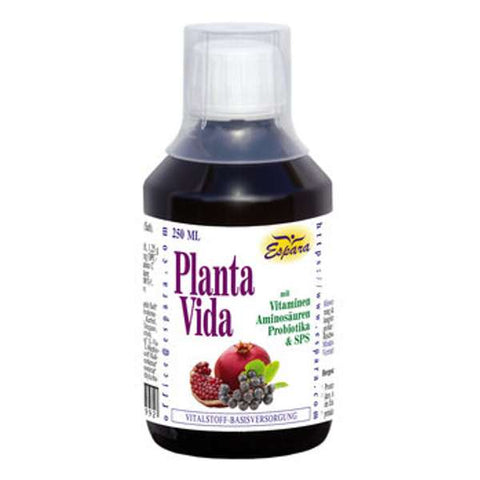 Planta Vida Kräuter-Basis-Elixier