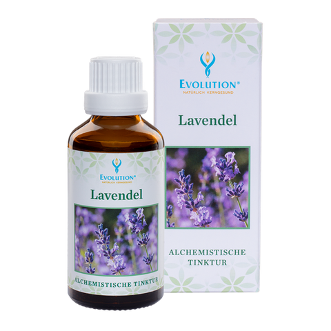 Lavendel