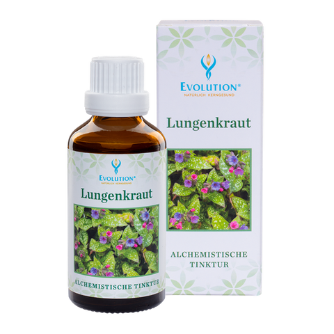 Lungenkraut
