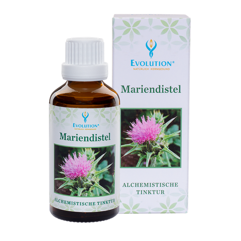 Mariendistel