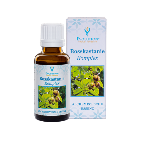Rosskastanie Komplex