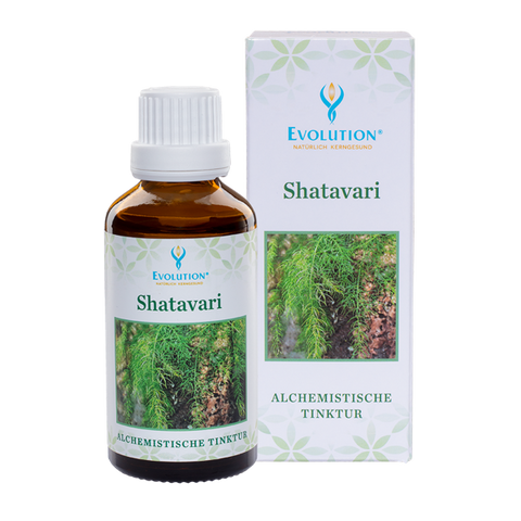 Shatavari