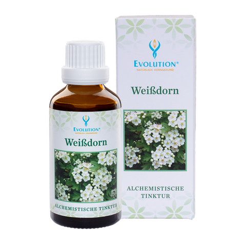 Weißdorn